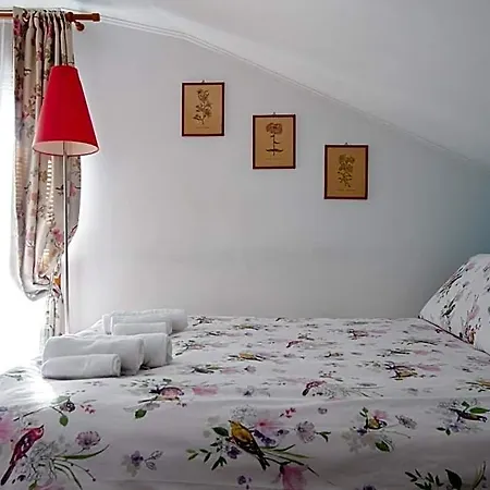 La Mansarda Delle Meraviglie Superior Oda ve Kahvaltı Trieste