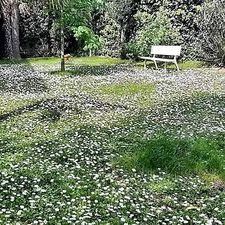 Oda ve Kahvaltı La Mansarda Delle Meraviglie Superior 4*